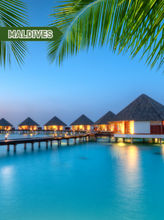 Load image into Gallery viewer, 2025 Calendar, 2025 Travel Calendar, Monthly Calendar, 12 Month Calendar, Travel Gift, Wall Decor, Digital Calendar, Digital Download