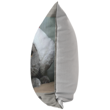 Load image into Gallery viewer, Kitty Boy