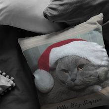 Load image into Gallery viewer, Kitty Boy