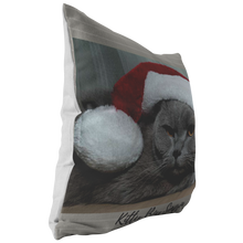 Load image into Gallery viewer, Kitty Boy