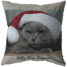 Load image into Gallery viewer, Kitty Boy