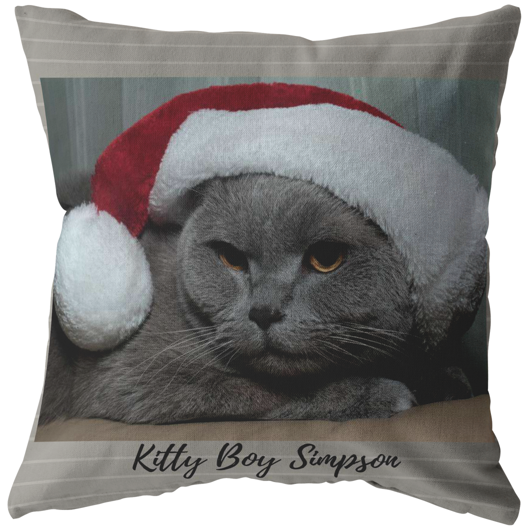 Kitty Boy